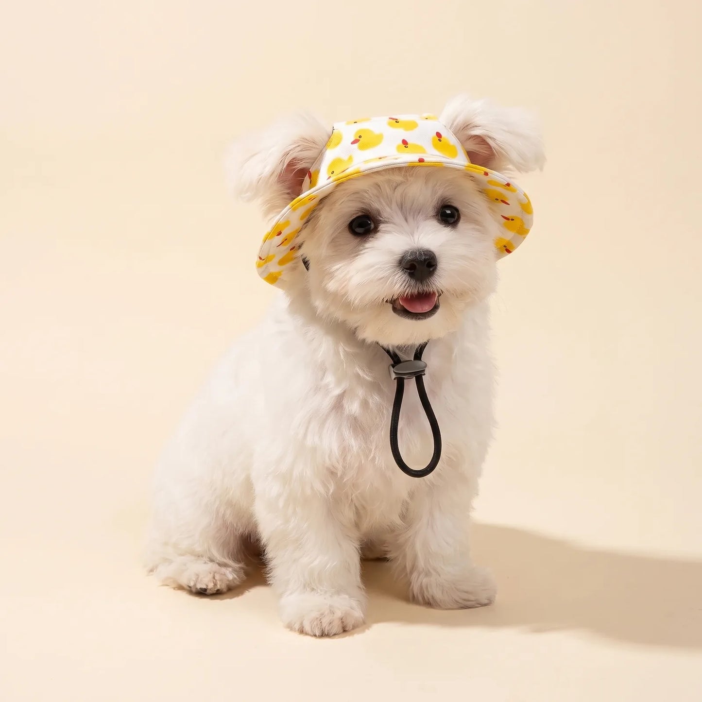 Floppy · Gorrito ajustable para perros pequeños